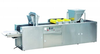 廠家直銷熊仔餅機(jī) 注芯機(jī) 注巧克力機(jī) 注糖機(jī) 食品加工設(shè)備